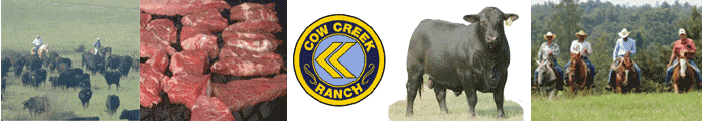 Cow Creek Ranch A.I. Sires